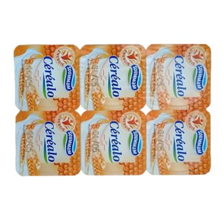 Pack 6 unidades Yogur con cereales SOUMMAM 100g