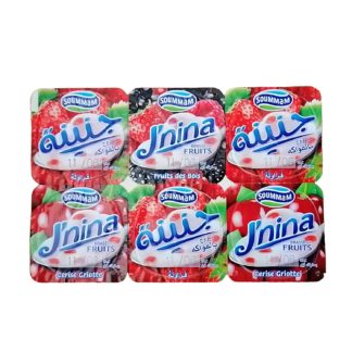Pack 6 unidades Yogur frutas del bosque SOUMMAM 100g