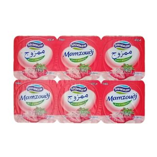 Pack 6 unidades Yogur Sabores Mamzoudj SOUMMAM 100g
