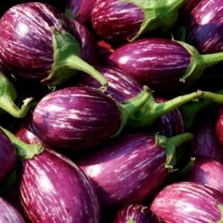 Berenjenas 1kg  البذنجان
