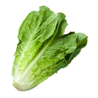 Lechuga 1 pieza ~500g