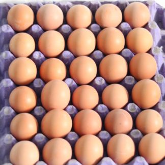 Huevos 30u البيض