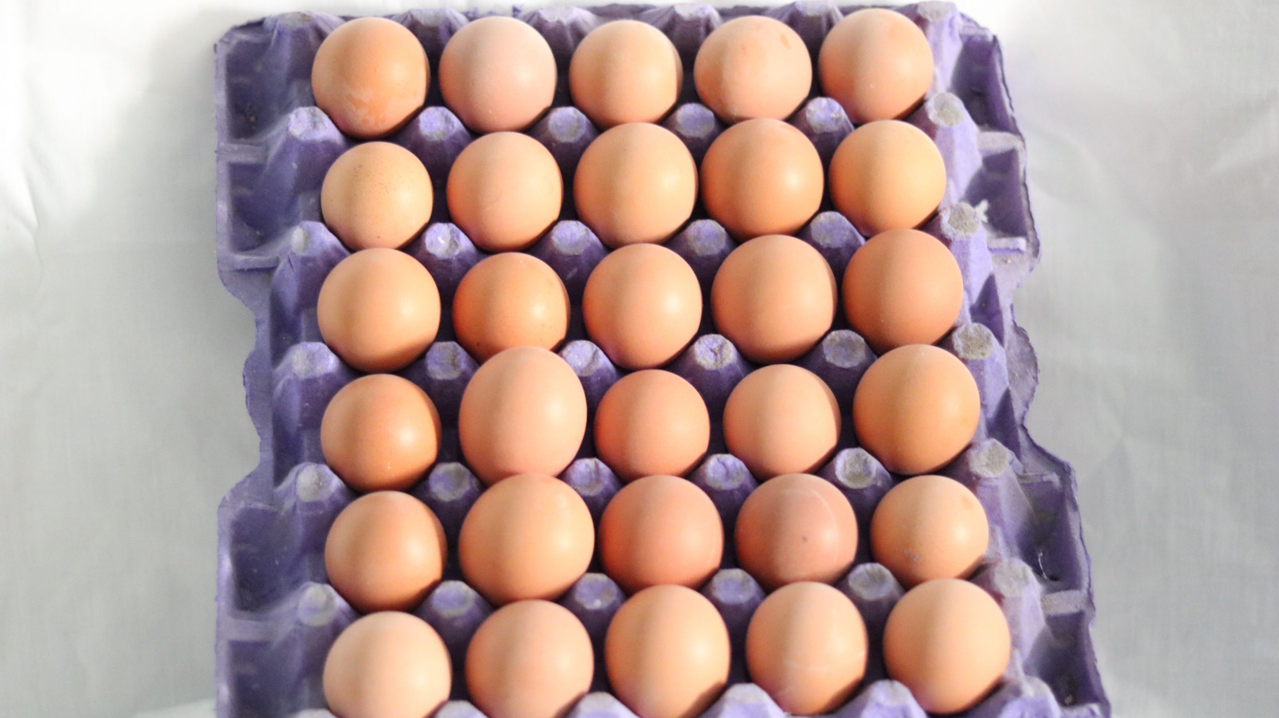Huevos 30u البيض