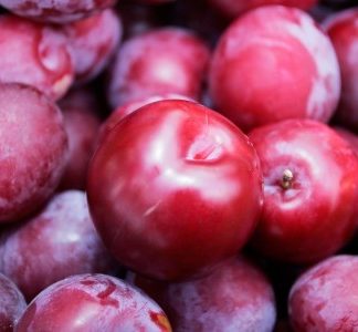 Ciruela 1kg البرقوق