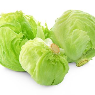 Pieza lechuga 1u ~500g حبة خس