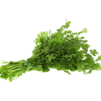 Manojo de cilantro حزمة قزبر