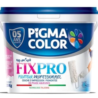 PIGMA COLOR pintura fijador profesional en fases acuosas