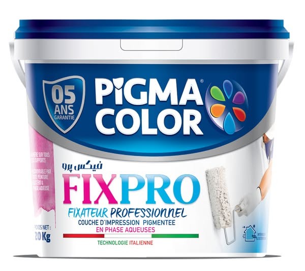 PIGMA COLOR pintura fijador profesional en fases acuosas